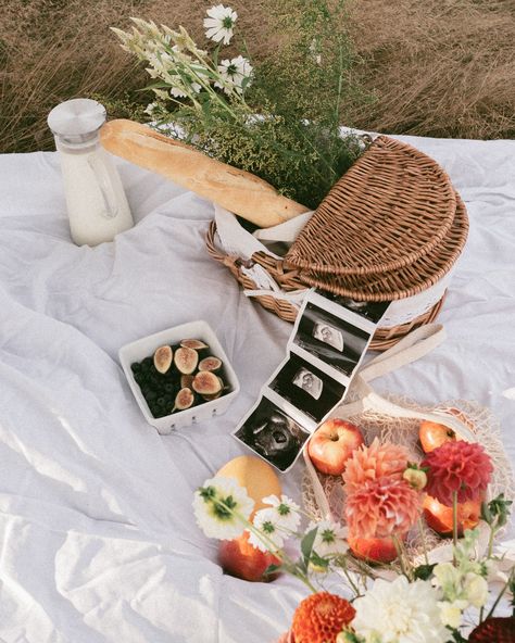 Film inspired maternity session. 🧺🍎🥖 They came to me with a vision and I’m LOVING the outcome ✨ Maternity Photography Picnic, Maternity Picnic Photoshoot, Picnic Pregnancy Announcement, Picnic Maternity Photoshoot, Maternity Picnic, Baby Manifestation, Pregnancy Announcement Photoshoot, Baby Announcement Photoshoot, Announcement Photoshoot