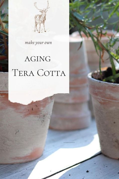 Age Terra Cotta Pots Diy, Aged Terra Cotta Pots, Tera Cotta, Herb Centerpieces, Aging Terra Cotta Pots, Diy Terra Cotta Pots, Pots Diy, Holiday Planter, Terra Cotta Clay Pots