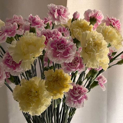 floral arrangement, carnations, pink flowers, yellow flowers, self care, that girl, aesthetic, spring flowers Yellow Carnations Aesthetic, Yellow Pink Flower Arrangements, Yellow And Pink Flowers, Pink Carnation Aesthetic, Carnation Flower Aesthetic, Carnation Aesthetic, Carnations Aesthetic, Pink And Yellow Flowers, Carnation Bouquet