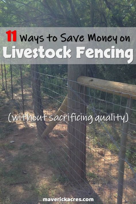 Cow Fence, Cattle Fencing, Livestock Fencing, Ranch Fence, Sheep Fence, Raising Sheep, Fence Building, Cattle Corrals, Livestock Fence