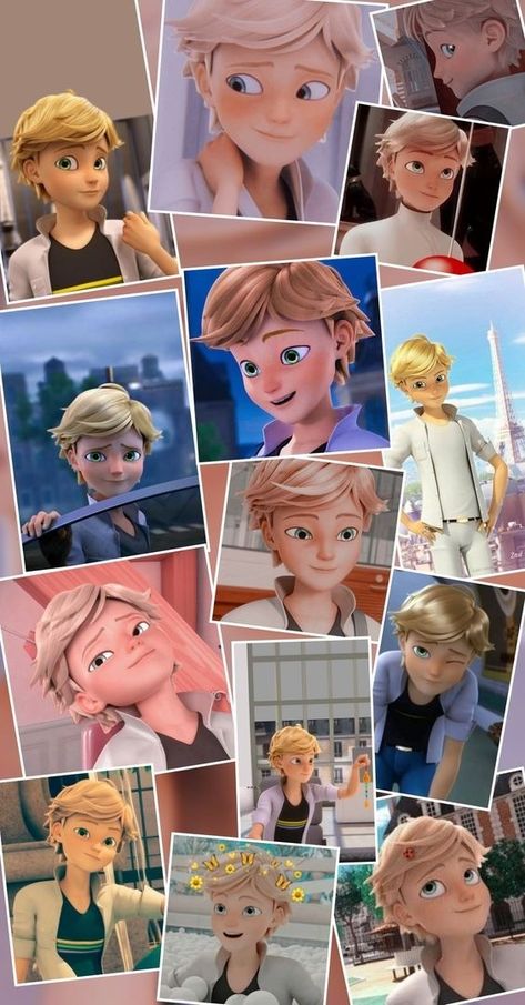 Adrian Miraculous Wallpaper, Miraculous Adrien Wallpaper, Adrian Agreste Wallpaper, Adrien Agreste Wallpaper, Adrian Miraculous, Adrien Wallpaper, Miraculous Ladybug Adrien, Adrian Agreste, Tumblr Cute