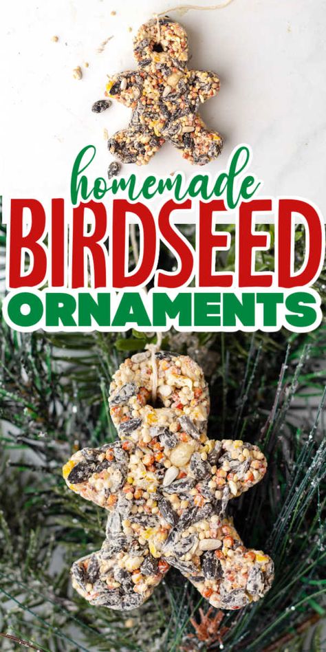 Bird Food Ornaments, Diy Birdseed Ornaments, Bird Seed Ornaments Recipe, Seed Ornaments, Birdseed Ornaments, Ornaments Making, Bird Seed Ornaments, Bird Feeder Craft, Bird Seed Feeders