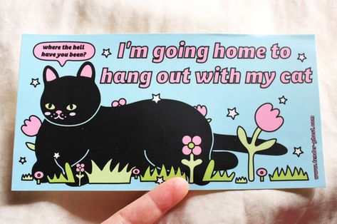 Bumper Stickers Cat Bumper Stickers, Big Water Bottle, Soft Pajama Pants, Vinyl Bumper Stickers, Laundry Decor, Birthday Wishlist, Going Home, Bumper Sticker, My Cat