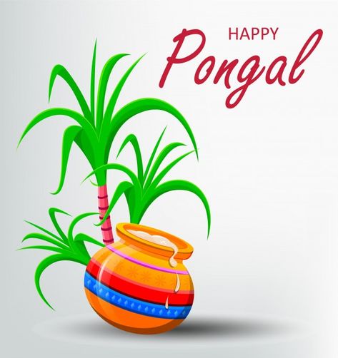 Happy pongal greeting card on white back... | Premium Vector #Freepik #vector #background #food #card #family Pongal Greeting Cards, Background Food, Happy Pongal, Festivals Of India, Shiva Wallpaper, Whatsapp Dp Images, Dry Fruits, Harvest Festival, Pin Image