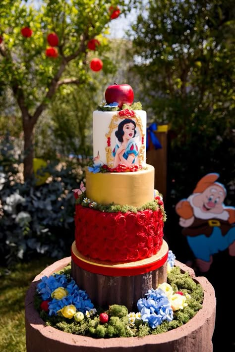 Snow White Cake, Mimi Birthday, Rockstar Birthday Party, White Birthday Cakes, Snow White Birthday Party, Idee Babyshower, Princess Theme Birthday Party, Snow White Birthday, Girl Bday Party