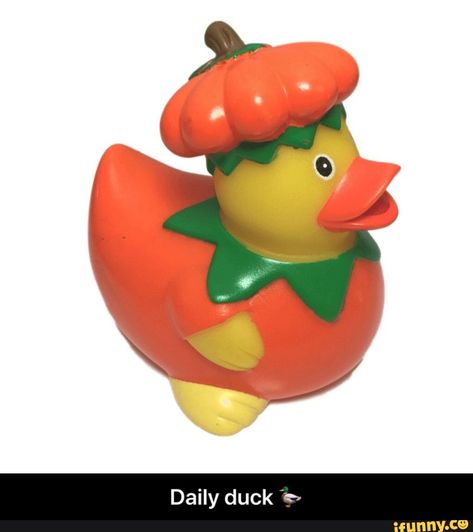 Daily duck "ª - Daily duck 🦆  – popular memes on the site iFunny.co #day6 #celebrities #ducks #daily #hentia #number6 #day6 #meme Duck Memes, Lucky Ducky, Halloween Is Coming, Quack Quack, Rubber Ducks, Yellow Duck, Ready For Fall, Rubber Ducky, Art Event