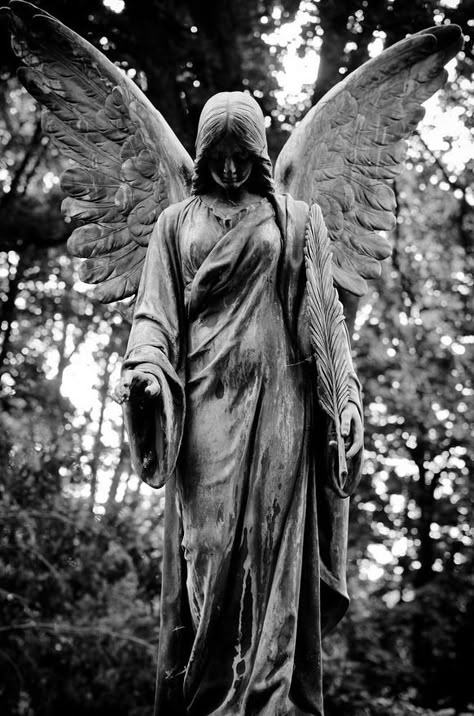 Graveyard Angel, Angel Statues Sculpture, Angel Garden Statues, Cemetery Angels, Angel Tattoos, Angel Photography, Cemetery Statues, Dark Wave, Statue Tattoo