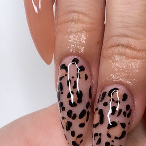 Chasity Rodriguez on Instagram: "ℂ𝕙𝕖𝕖𝕥𝕒𝕙 𝔾𝕚𝕣𝕝𝕤 😆  All these cheetah nails reminding me of the Cheetah Girls 🙃 • • • #sanantonionails #cheetahnails #cheetahprint #naildesigns #nailfie #nails #nailgram #nailtrends #nailstoday #nails2inspire #nailinspo #nailinfluencer #nailidea #nailsinspiration #nailmagazine #pronailmagazine #nailsintexas #sanantonionailsalons #nailswag #nailjunkie #almondnails #nailart #nailporn" Nude Cheetah Nails, Vet Nails, Black Cheetah Nails, Cheetah Nail Art, Fingernail Ideas, Apartment Plan, Cheetah Print Nails, The Cheetah Girls, Cheetah Nails