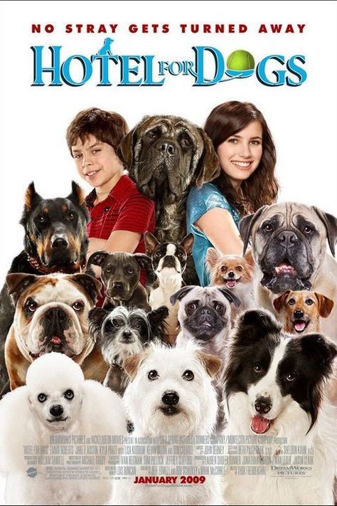 Hotel For Dogs, The Movie, Movie Poster, For Dogs, Hotel, Dogs