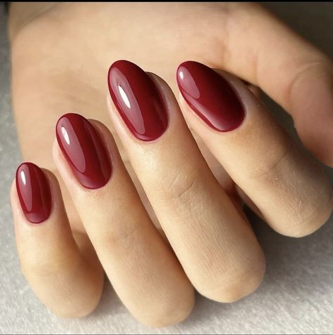 #nails #nailsofinstagram #pinterest #burgundy #burgundynails #nailstagram#manicure #aesthetic #minimalist #pedicure #fallnails #nailgelpolish Burgundy Pedicure Ideas, Cranberry Nail Color Designs, Cherry Burgundy Nails, Merlot Red Nails, Light Burgundy Nails, Minimalist Pedicure, Dizajn Grafik, Cranberry Nails, Nail Ideas Pink