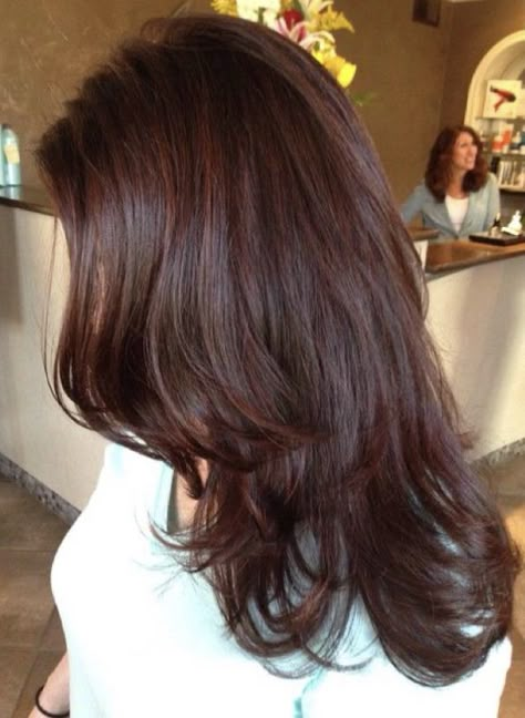 Burgandy Brown Hair, Dyed Hair Inspiration For Brunettes, Dark Red And Brown Hair, Brown With Red Hair, Mahogany Hair Color Brown, Chocolate Brown Hair With Red Tint, Red Tinted Brown Hair, Cherry Brown Hair, Mahogany Brown Hair