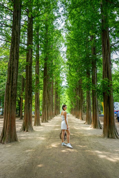 Nami Island Summer, Nami Island Photoshoot, Nami Island Spring, Korea Spring Outfit, Nami Island Korea, Japanese Street Fashion Harajuku, Munich Shopping, Seoul Trip, Outfit Images