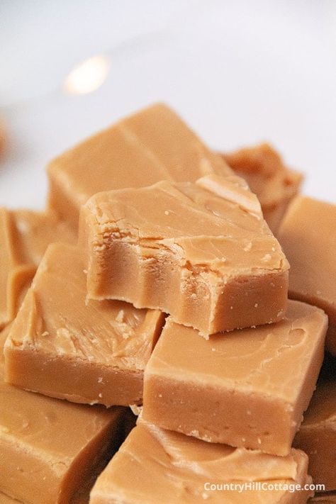 Dessert Micro Onde, Turtle Fudge, Microwave Peanut Butter Fudge, Butterscotch Fudge, Brownie Vegan, Peanut Butter Fudge Recipe, Peanut Butter Fudge Easy, Caramel Fudge, Butter Fudge