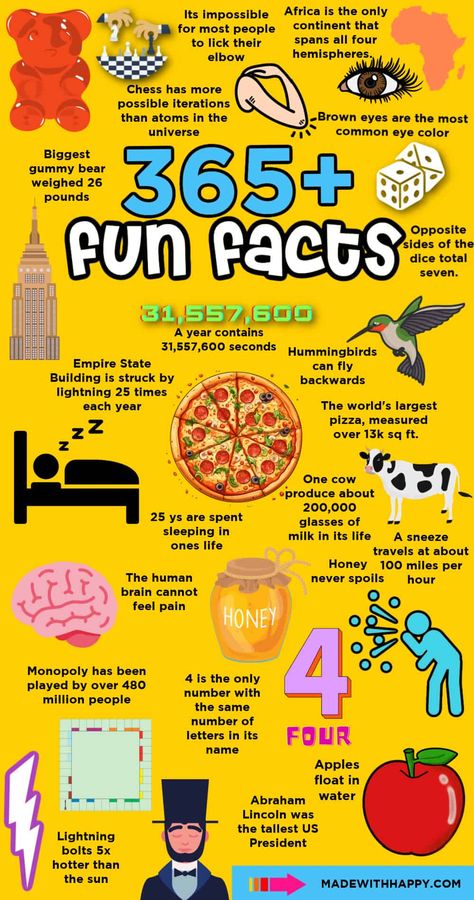 Fun Facts Bulletin Board, Fun Facts About Science, Fun Fact For Kids, Fun Facts About Me Ideas For School, Fun Facts About Me Ideas, Random Facts Funny, Random Facts Mind Blowing, Cool Fun Facts, Facts In English