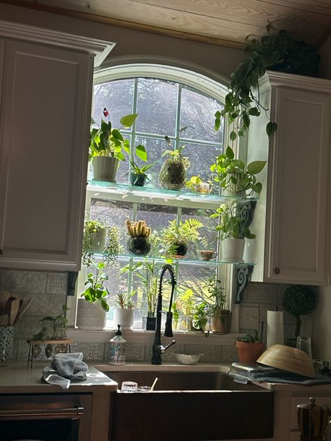 3 shelves with plants on a window sill over a kitchen sink. Herbs In Kitchen Window, Herb Window Kitchen, Kitchen Window Herb Garden Diy, Kitchen Window For Plants, Kitchen Plant Window, Small Kitchen Window Plant Shelf, Herbs Kitchen Window, Plant Window, Kitchen Plants