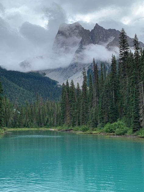 Canadian Rockies mountain range Canadian Forest, Pine Trees Forest, Mountain Forest, Forest Mountain, Alpine Lake, Blue Lake, Forest Park, Canadian Rockies, Beautiful Places Nature