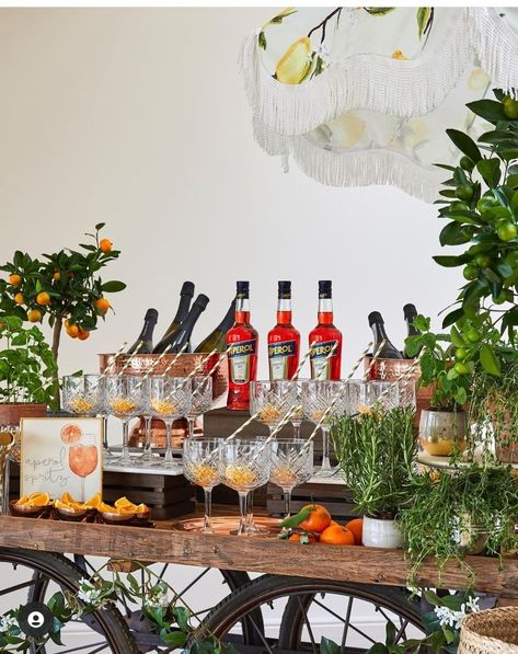 Spritz Bar Wedding, Aperol Station, Aperol Spritz Station, Welcome Drink Station, Dirty Soda Bar, Welcome Dinner Decor, Spritz Station, Cart Photoshoot, Pool Party Brunch