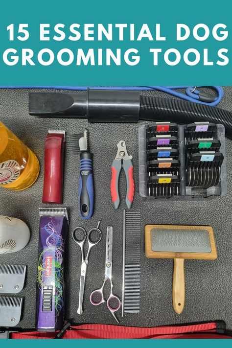 DIY Dog Grooming: Going from Messy to Magnificent Dog Grooming Brushes, Labradoodle Haircuts, Dog Grooming Diy, Small Dog Accessories, Dog Grooming Tools, Socializing Dogs, Dog Behaviorist, Dog Gadgets, Dog Grooming Salons