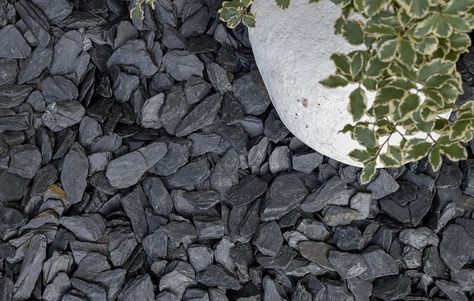 Graphite Grey Slate 40mm. Our stunning NEW graphite grey slate is simple, yet striking sometimes with veins of a golden colour running through the chippings making it a truly unique slate chipping. A beautiful addition to any area, very popular with modern style gardens, with water features and for creating a contemporary feel to any landscaping project. Not only is this slate beautiful, it is very adaptable, durable and long lasting. Slate Walkway, Front Door Landscaping, Boston Manor, Home Landscaping Ideas, House Development, Decorative Aggregates, Slate Garden, Landscaping Rock, Planting Grass