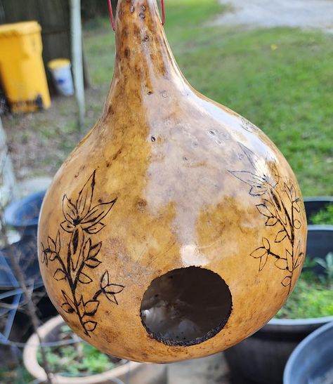 Wunderschönes handgebranntes Kürbis-Vogelhäuschen. Bird House Gourds, Gourd Bird Houses, Gourds Painted, Painting Gourds, Gourds Diy, Dried Gourds, Gourd Birdhouses, Birdhouse Gourds, Pumpkin Carving Tools