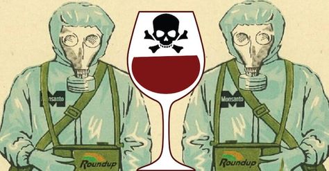 Glyphosate Found in California Wines Barolo Wine, Napa Wineries, Virginia Wineries, Wine Knowledge, Italy Wine, Toxic Foods, Wine Gift Baskets, Health Ideas, Wine Connoisseur