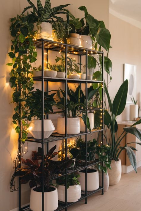 Transform your home with this indoor jungle-inspired plant display. Featuring a sleek black metal shelving unit, white pots, and vibrant greenery, the setup is beautifully illuminated by warm fairy lights. A beige backdrop and light wood floors enhance the cozy, modern vibe. #IndoorPlantDecor #CozySpaces #FairyLightVibes #JungleInspired #ModernPlantDisplay #HomeGreenery #PlantShelfGoals #MinimalistAesthetic #SereneLiving #UrbanJungle Fairy Lights And Greenery, Light Wooden Flooring, Black Metal Shelving, Metal Plant Shelf, Plants Shelf, Big Indoor Plants, Indoor Plant Display, White Pots, Metal Shelving Units