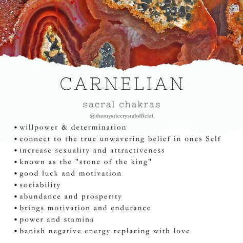 Carnelian Meaning - Mystic Crystal Dream Carnelian Stone Meaning, Mangano Calcite Meaning, Carnelian Affirmation, Carnelian Crystal Meaning, Mindful Crafts, Carnelian Meaning, Medicine Plants, Earth Medicine, Sturgeon Moon