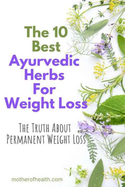 The 10 Best Ayurvedic Herbs For Weight Loss | Mother Of Health Ayurveda Medicine, Ayurvedic Lifestyle, Ayurvedic Diet, Ayurveda Lifestyle, Ayurveda Life, Fat Burning Tea, Ayurvedic Recipes, Complementary Medicine, Ayurvedic Healing