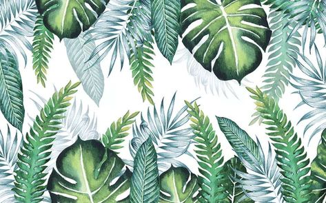 Plant Room Ideas, Plant Activities, Palm Leaf Wallpaper, Plant Room, Old Orchard, Tropical Wall Art, Iphone 1, Kimono Pattern, Wallpaper Green