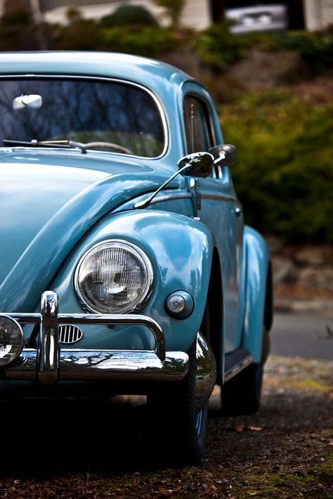 Vw Sedan, Grey Car, Vw Beetle Classic, Vw Vintage, Vw Bug, Jolie Photo, Fifty Shades Of Grey, Vw Beetle, Vw Beetles