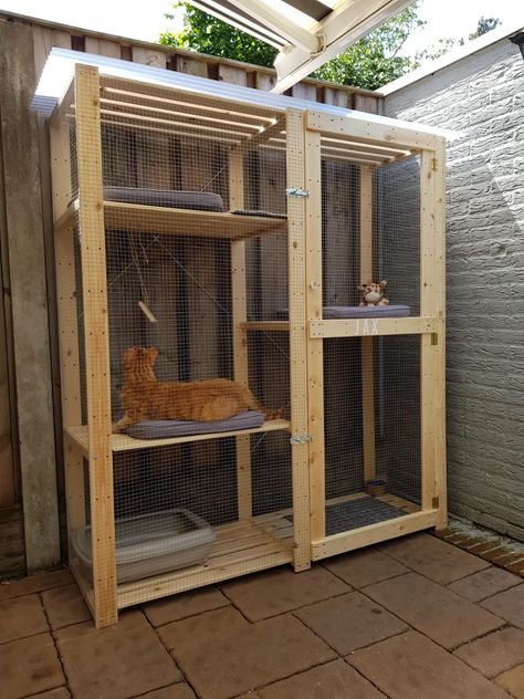 Cat Cage Outdoor, Indoor Outdoor Cat, Cat Cages Indoor, Diy Cat House, Cat House Outdoor, Diy Cat Enclosure, Katt Grejer, Cat Houses Indoor, Cat Fence