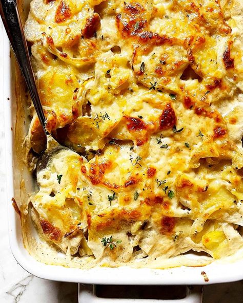 Best Au Gratin Potatoes, Recipes To Feed A Crowd, Au Gratin Potatoes, Au Gratin Potato Recipes, Gratin Potatoes, Au Gratin Recipes, Large Family Meals, Potatoes Au Gratin, Crowd Pleasing Recipes