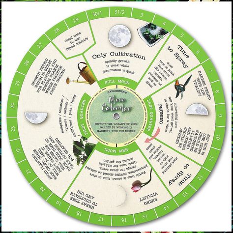 Gardening Moon Calendar, Perpetual Lunar Cycle Calendar for Gardeners, Farmers Almanac, Easily Determine Optimal Times for Pruning, Planting, Sowing, Spraying. A great gift for Gardeners & Farmers (Gardening Moon Calendar) Planting Chart, Gardening Calendar, Companion Planting Chart, Gardening Activities, Seed Storage, Farmers Almanac, Garden Activities, Garden Calendar, Moon Calendar