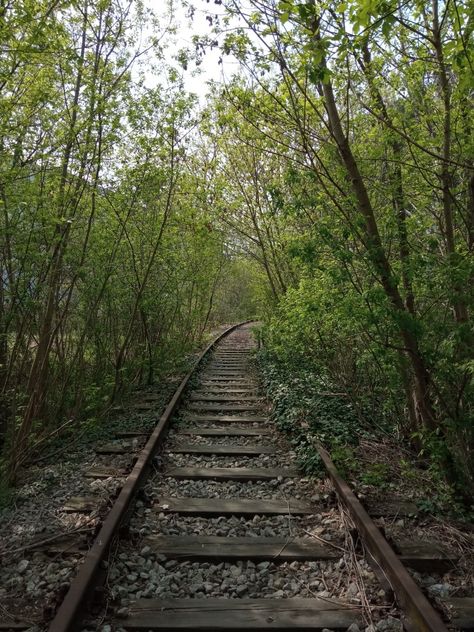 tracks in the spring forest Journey Aesthetic, Guided Relaxation, Our Journey, Simple Life, Book Aesthetic, Pain Relief, Mood Board, Textiles, Parenting