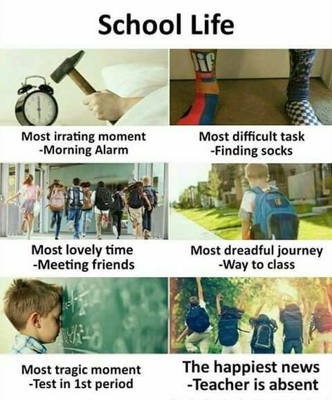 Hahahahaha true #tag if it school life was or is much more related to dis or is exactly like dis Funny Exam Quotes, School Life Memories, School Life Quotes, Salford City, Exam Quotes, Bff Quotes Funny, School Quotes Funny, School Jokes, Funny School Jokes