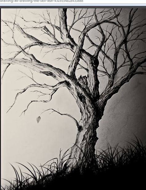 like this... Branches Drawing, Trees Art Drawing, Trees Drawing Tutorial, Tree Roots Tattoo, Branch Drawing, The Last Leaf, 2016 Year, Tree Drawings Pencil, Hyper Realistic Paintings