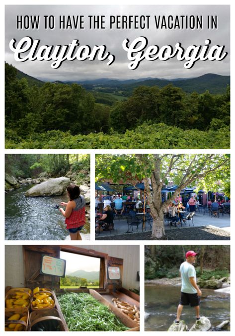 South Your Mouth: How to Have the Perfect Vacation in Clayton, Georgia Clayton Ga Things To Do, Clayton Ga, Northeast Georgia, Ga Mountains, Clayton Georgia, Family Vacations Usa, Tallulah Gorge, Explore Georgia, Georgia Trip