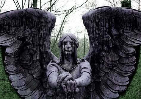 creepy angel Creepy Angel, Evil Angel, Sebastian Michaelis, Angel Aesthetic, Southern Gothic, Angel Statues, Ciel Phantomhive, Gothic Aesthetic, Arte Inspo