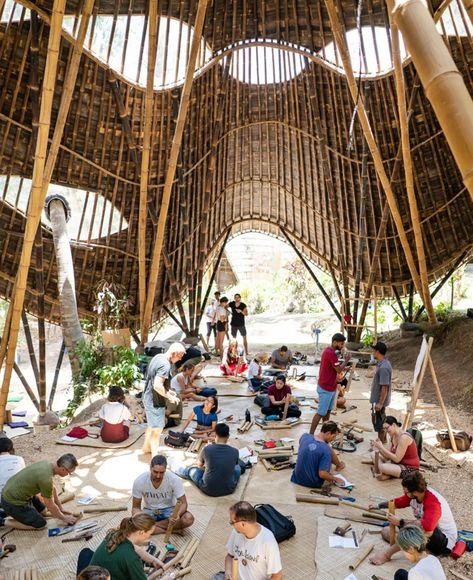 Green School Bali, Bamboo Species, Bamboo Building, Natural Building Materials, Workshop Plans, Bamboo Structure, Bamboo Architecture, Bamboo Construction, Wooden Architecture