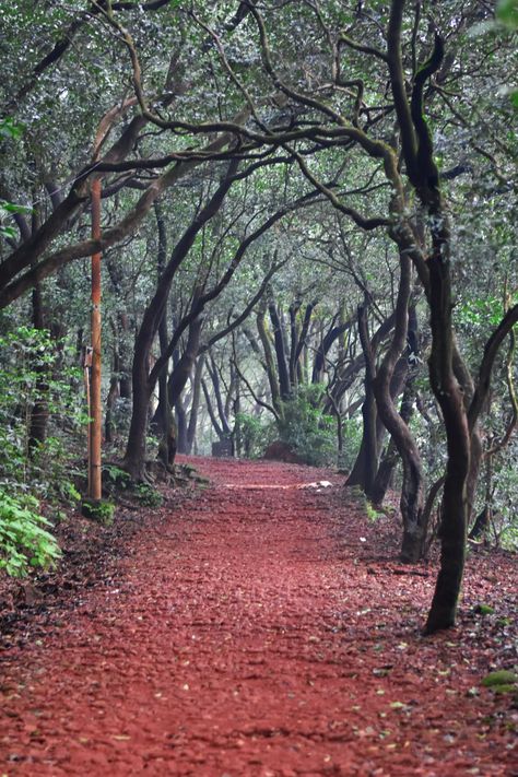 How to plan a weekend in Matheran: eat, see, do, stay | Condé Nast Traveller India Lonavala Photography, Solar Hot Water, It's Too Hot, Conde Nast, Hill Station, Editing Background, Colonial Style, The Locals, Mumbai