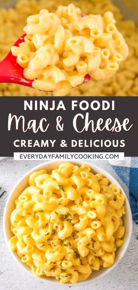 Ninja Foodi Side Dish Recipes, Ninja Foodi Recipes Mac And Cheese, Ninja Foodi Macaroni And Cheese, Mac And Cheese Recipe Ninja Foodie, Foodi Possiblecooker Pro, Ninja Foodi Side Dishes, Ninja Foodi Mac And Cheese Recipe, Ninja Foodi Smart Xl Recipes, Ninja Mac And Cheese Recipe