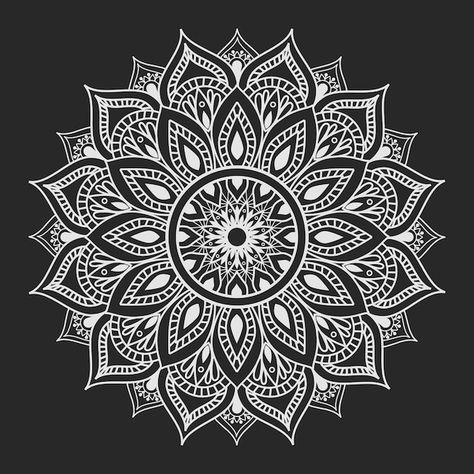 White Mandala Art, White Mandala, Floral Mandala, Black And White Mandala, Mandala Art Black And White, Mandala Black And White, Black Sheet Mandala Art, Mandala Vector Design Art Illustrations, Mandala On White Background