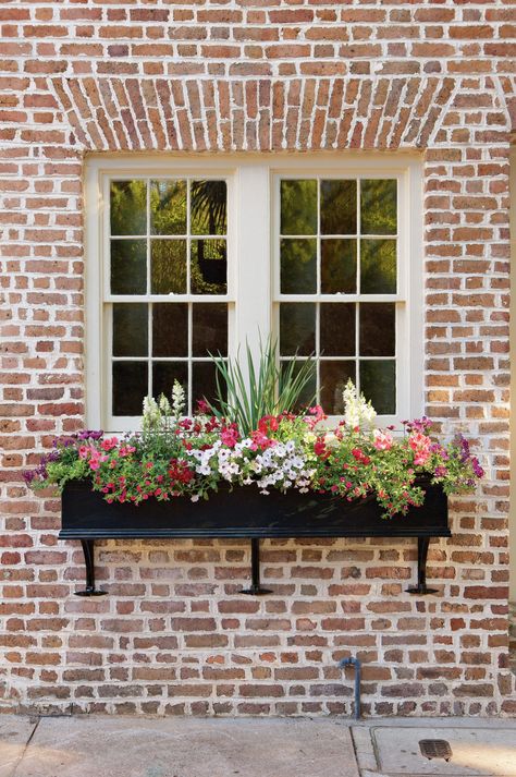 Looking for a simple, but high-impact gardening project? Consider revamping your window boxes. Beautiful gardens in miniature—that's the essential appeal of window boxes. #gardeningideas #curbappeal #homeimprovement #windowboxes #southernliving Black Window Box, Small Scale Gardening, Winter Window Boxes, Window Box Garden, Window Box Flowers, Window Planters, Window Planter Boxes, Garden Windows, Container Gardens