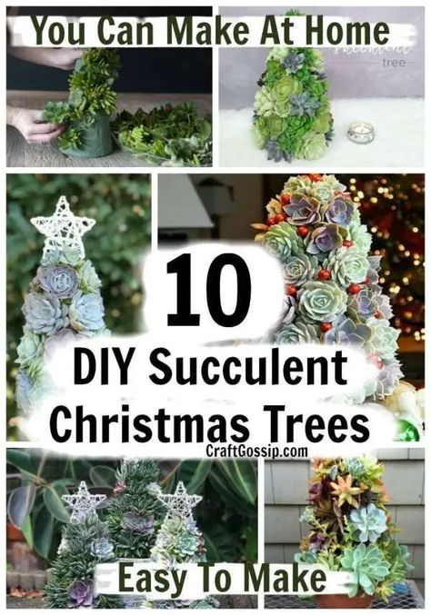 Succulent Christmas Tree, Succulent Christmas, Holiday Centerpieces Christmas, Succulent Wreath Diy, Succulent Tree, Tree Centerpieces, Christmas Plants, Garden Christmas, Simple Christmas Tree