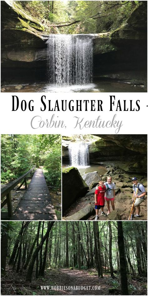 One of the most beautiful waterfalls in Kentucky - Dog Slaughter Falls – Corbin, KY Visit Kentucky, Kentucky Hiking, Travel Kentucky, Corbin Ky, Corbin Kentucky, Kentucky Attractions, Central Kentucky, Vacay Spots, Kentucky Vacation