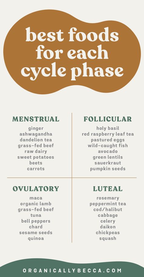 Best Foods to Eat for Your Menstrual Cycle Phases Cycle Synching, Period Health, Hormone Nutrition, Cycle Phases, Follicular Phase, Luteal Phase, Seed Cycling, Period Care, Cycle Syncing