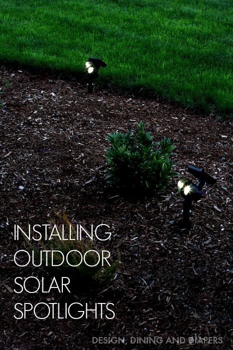 Installing Outdoor Solar Spotlights Solar Spotlights Ideas Outdoor, Solar Spot Lights Outdoor, Garden Spotlights, Solar Spot Lights, Solar Landscape Lighting, Dock Lighting, Spotlight Lighting, True Value, Solar Garden