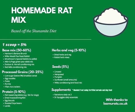 Homemade Rat Diet

Based off the Shunamite Diet

1 scoop = 5%

Base Mix(50%-60%)

Processed Grains(20%-25%)
-Low sugar(less than 5%) cereal 
-egg noodles
-pasta

Protein(5%-10%)
-Fish-based dog kibble
-dried insects/shrimp/fish
-lentils

Herbs and Vegetables(5%-10%)
-dried herbs and veggies 

Seeds(5%)
-Linseed
-Hempseed
-Pumpkin
-sunflower(small amounts)
-wild conditioning bird mix 

Supplements(needed if not using cereal and dog food)
-ratrations daily rat 3
-Dr Squiggles daily essentials Homemade Rat Food, Rat Food, Vegan Dog Food, Rat Care, Fortified Cereals, Baby Rats, Dried Porcini Mushrooms, Dehydrated Vegetables, Green Lipped Mussel