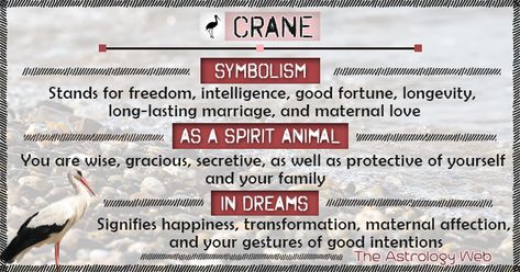 What does a crane symbolize, white crane, whooping crane, as a spirit animal, dream interpretation, significance in Asian countries, Chinese, Japanese Origami Crane Meaning, Crane Meaning, Animal Totem Spirit Guides, Whooping Crane, Spirit Animal Meaning, Animal Meanings, Spirit Animal Totem, Spiritual Animal, White Crane