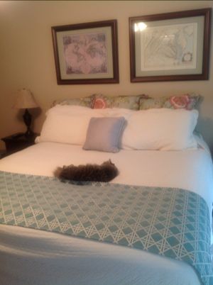 DIY Bed "Runner" to finish the look of a bed Diy Bed Runner Ideas, Bed Runner Size Chart, Twin Bed Frames, Restoration Hardware Bedding, Head Boards, House Redo, Feather Bed, Bed Runners, Bed Scarf